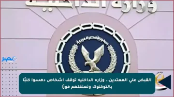 القبض على المعتدين.. وزارة الداخلية توقف أشخاص دهسوا كلبًا بالتوكتوك وتعتقلهم فورًا